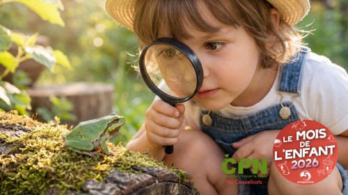 MOIS DE L'ENFANT | Sortie p&eacute;dagogique au c&oelig;ur de l'association CPN Coquelicots 