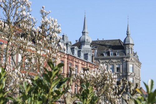 Visite comment&eacute;e : Les belles demeures de nos Capitaines d'Industrie