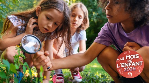 MOIS DE L'ENFANT | Permis couteau : atelier en for&ecirc;t