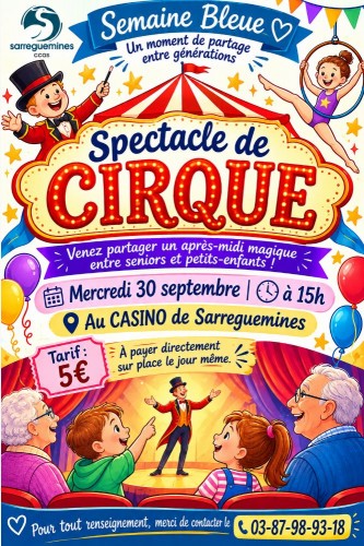Spectacle de cirque